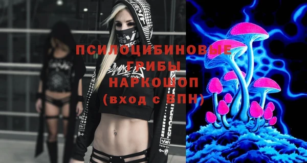 spice Дмитров