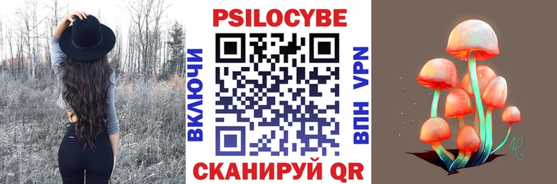 Купить где  Кяхта  Псилоцибиновые грибы мицелий 